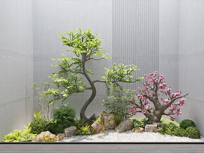 Courtyard Garden With Lush Green Tree Pink Blossom Stone Decorations And Gray Wall Backdrop 3d model