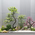 Courtyard Garden With Lush Green Tree Pink Blossom Stone Decorations And Gray Wall Backdrop