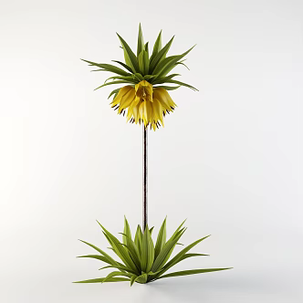 Landscape Plant Flower Crown Fritillaria 3d model