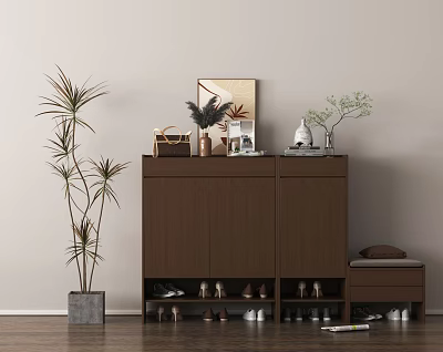 Brown Shoe Cabinet With Decorations Vases Photo Frames And Shoes At Bottom With Plants Nearby 3d model