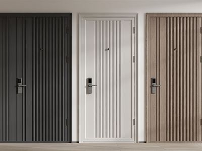 Modern security door entry door model