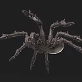 Monstrous Spider Like Creature with Spiky Legs and Menacing Grayish White Appearance on Dark Background