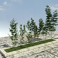 Modern Bamboo Landscape Bamboo Plants 3d model