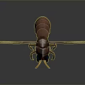 Detailed 3D Model of Flying Animal with Transparent Wings Metallic Body and Blue Eyes