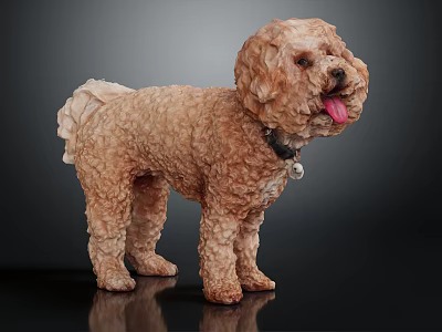 Cute Brown Curly Haired Dog With Tongue Out Standing On Shiny Surface 3d model