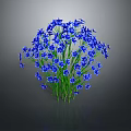 Vibrant Blue Flowering Plant With Small Blooms And Green Stems