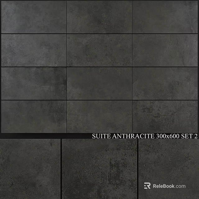 Premium Suite Anthracite 300x600 Tiles Set 2 for Modern Interior Design 3d model 