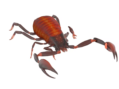 Detailed Reddish Brown Reptile Scorpion With Pincers Tail And Body Structure 3d model
