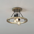 Modern Flush Mount Ceiling Lights with Glass Shades Brass Base and Ring Shapes 3d model