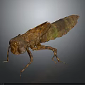 Realistic Insect 3D Model with Brown Green Stripes and Rough Texture on Dark Background