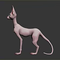 Pink Hairless Sphynx Cat with Large Ears Green Eyes and Pink Paws on Dark Background