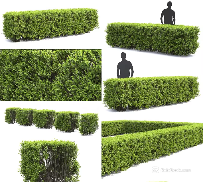 Trimmed Green Shrubs And Hedges In Various Shapes For Garden Landscape With Human Figure 3d model 
