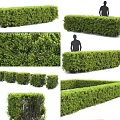 Trimmed Green Shrubs And Hedges In Various Shapes For Garden Landscape With Human Figure