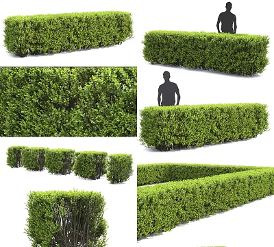 Trimmed Green Shrubs And Hedges In Various Shapes For Garden Landscape With Human Figure 3d model
