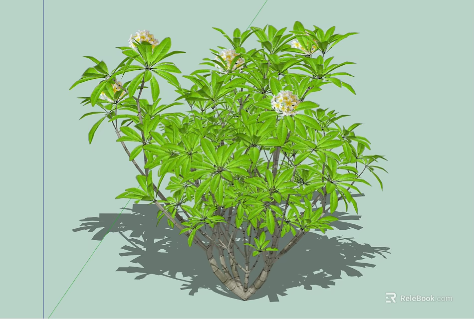 Lush Arbor Tree With Green Leaves And White Flowers On Branched Stems 3d model 