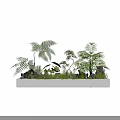 Lush Bonsai Potted Plants in Long Rectangular White Pot with Ferns Palms and Stone Decorations