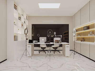 Modern Public Office Area With Workstations Office Chairs Bookshelves And Lighting Fixtures 3d model