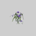 Transparent Glass Vase With Purple Flowers Green Leaves Water And Small Bottle