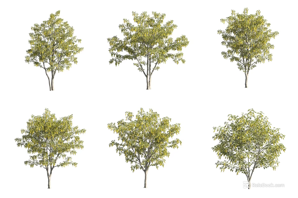 Arbor Trees With Green Foliage In Six Various Forms Isolated On White 3d model