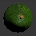 Fresh Ripe Green Avocado with Speckled Surface and Yellow Stem