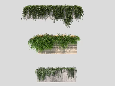 Vines Covering Concrete And Wooden Walls With Lush Green Hanging Foliage 3d model