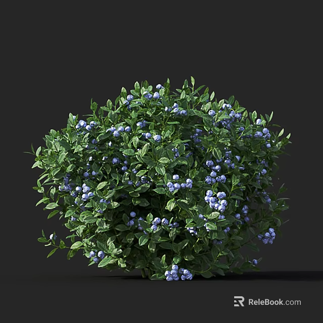 Lush Arbor With Vibrant Green Leaves And Plump Blue Berries In Garden 3d model 