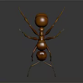 Detailed Brown Ant With Long Antennae On Dark Reflective Background