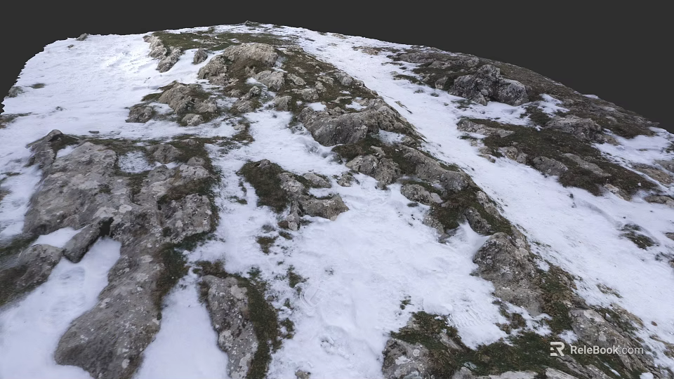 Natural Microtopography Featuring Rocky Terrain Snow Patches And Sparse Grass 3d model 