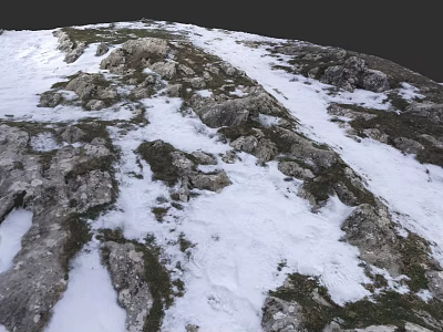 Natural Microtopography Featuring Rocky Terrain Snow Patches And Sparse Grass 3d model