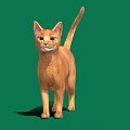 Orange Cat Standing On Green Background With Bright Eyes And Tail Up