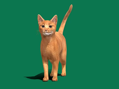 Modern Cat Cartoon Cat Smokie Cat Cartoon Animal 3d model
