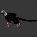 Avian Mammalian Fantasy Creature With Black Feathers White Ears And Sharp Claws