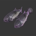 Two Shiny Dark Fish On White Background With Fish Shaped Object