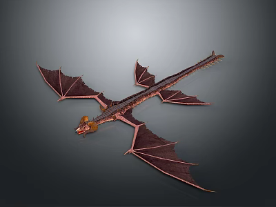 Mythical Dragon Skeleton in Flying Pose with Extended Wings and Long Tail 3d model