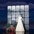 Wedding Photo Spot With Bridal Gown Grid Window Cloudy Background And Flowers