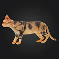Realistic Striped Cat Standing In Detailed 3D Render Against Black Background