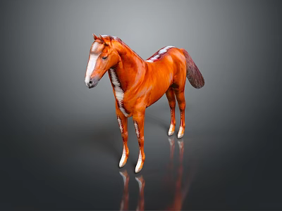 Brown Horse With White Markings Standing On Dark Background With Reflection 3d model
