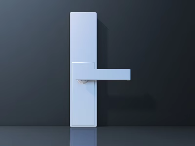 Modern White Door Handle With Sleek Minimalist Design On Dark Door 3d model