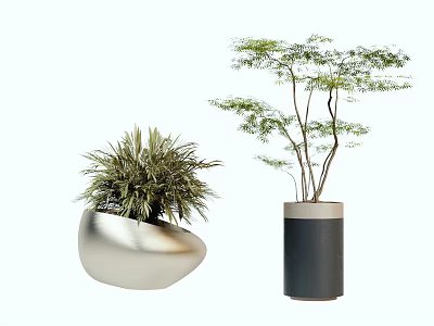Grass-like and Leafy Bonsai Potted Plants in Silver Irregular and Black Cylindrical Pots 3d model