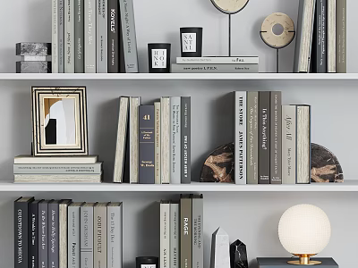 Stylish Decorative Ornament Collection With Books Photo Frames Round Decor And Lamp On Shelf 3d model