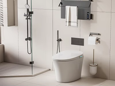Modern White Toilet in Contemporary Bathroom with Shower Area Toilet Paper Holder and Towel Rack 3d model