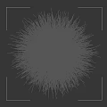 Elegant Blue Gray Ornamental Grass Planted in White Pot Against Black Background