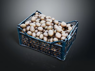 Fresh Potatoes in Blue Plastic Crate Fully Loaded with Healthy Vegetables 3d model