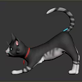 Grey Striped Cat With Blue Eyes Pink Ears Blue Tail Tip On Black Reflective Floor