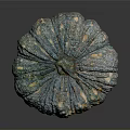 Unique Vibrant Colorful Textured Pumpkin With Blue Orange Green Speckled Rind