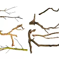 Natural Stone And Wood Branches Decorative Elements With Various Shapes And Textures 3d model