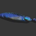 Vibrant Blue Tropical Fish With Circular White Spots Orange Fins And Reflection