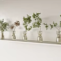 Multiple Clear Glass Flower Vases With Green Foliage On White Wall Shelf