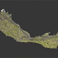 Natural Wood Stone With Green Moss Covered Surface And Rough Texture