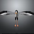 Black and White Bird with Spread Wings Orange Beak and Feet Standing on Gray Background
